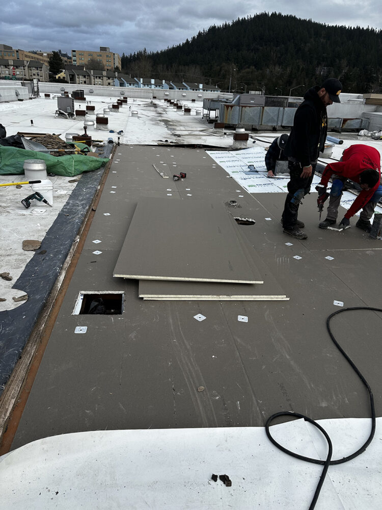 Roof Repairs